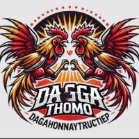 Đá Gà Thomo Trực Tiếp