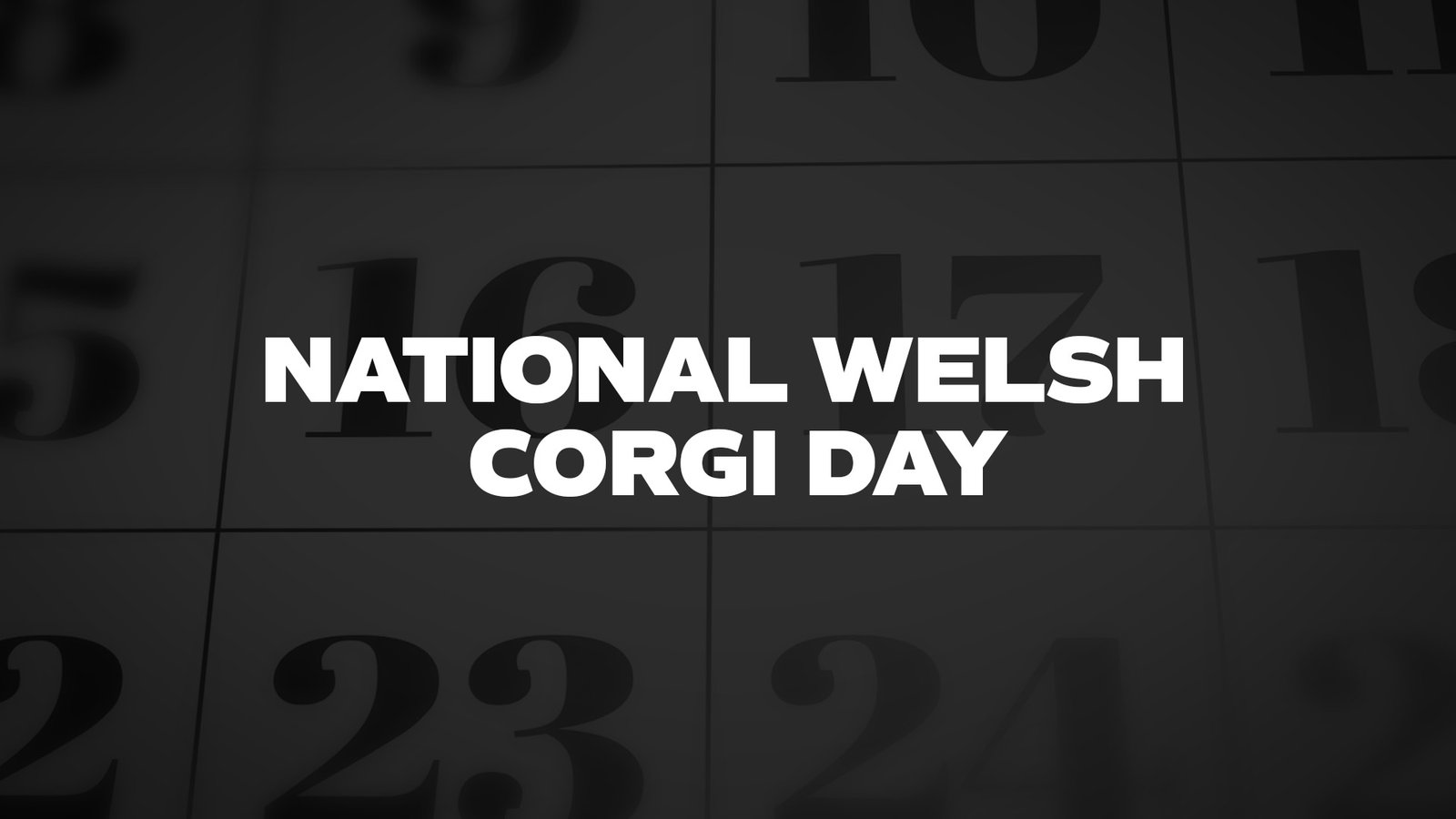 1st March 2024 National Welsh Corgi Day HD Photos