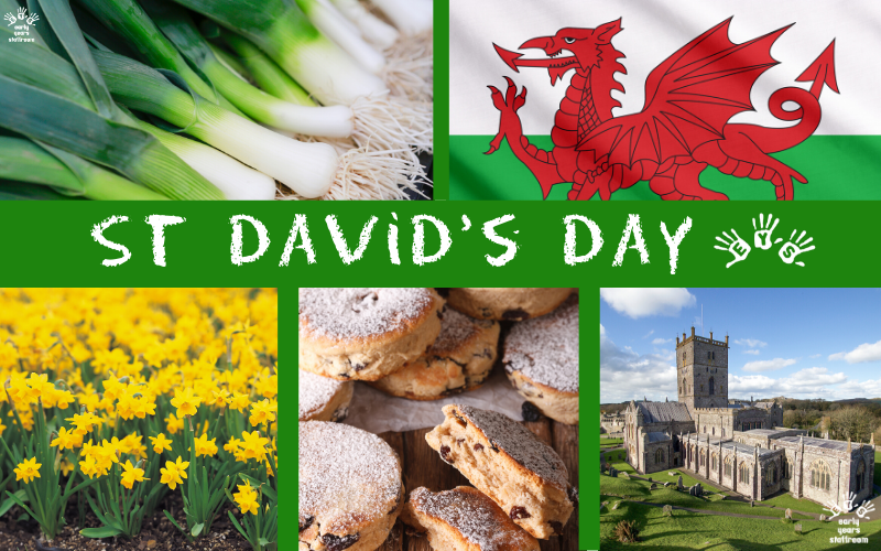 1st March 2024 St.Davids Day HD Photos