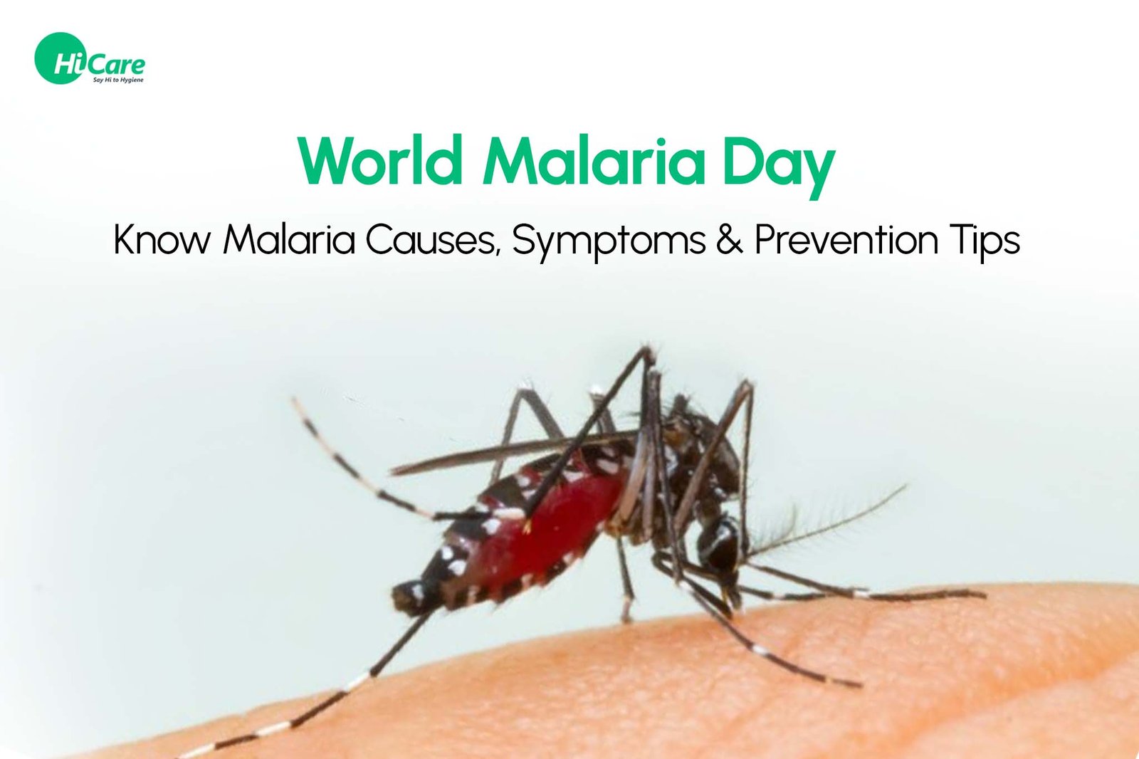 25th April 2024 - World Malaria Day HD Photos