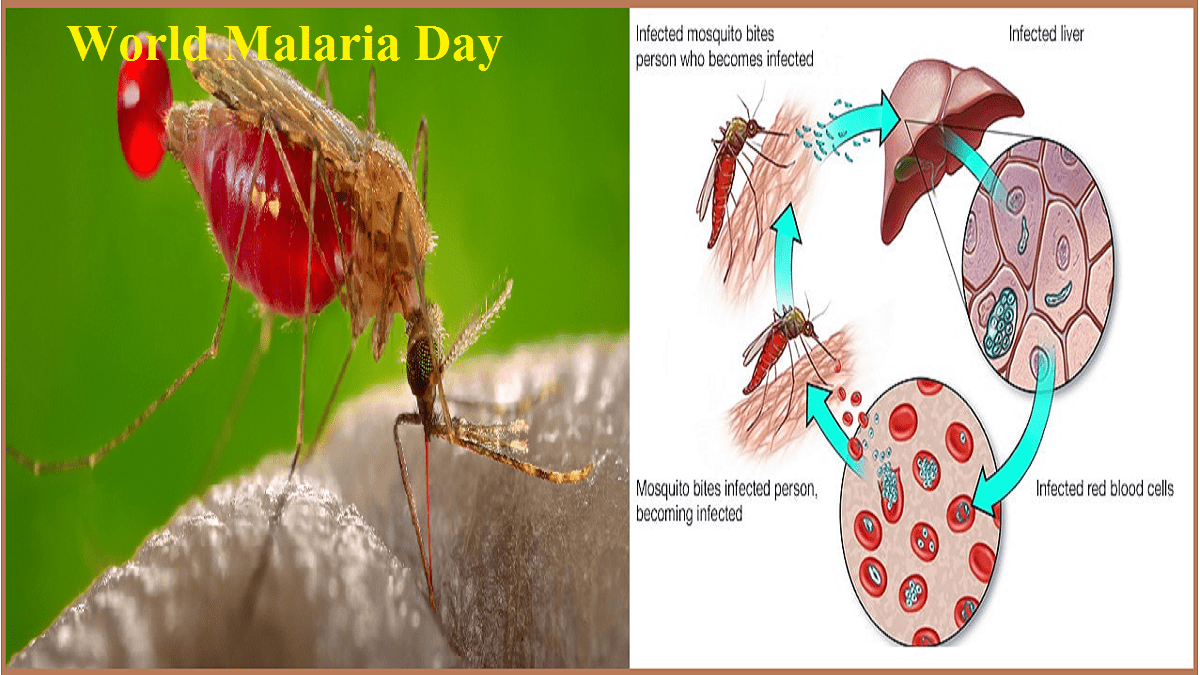 25th April 2024 - World Malaria Day HD Photos