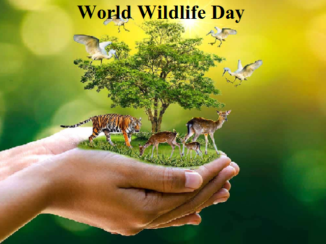 3rd March 2024 World Wildlife Day HD Photos