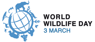 3rd March 2024 World Wildlife Day HD Photos