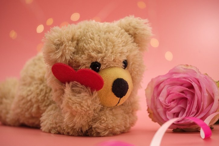 10th February 2024 Teddy Day HD Photos