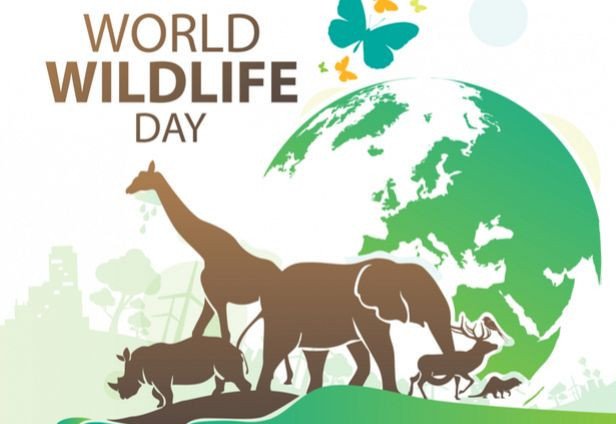 3rd March 2024 World Wildlife Day HD Photos