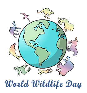 3rd March 2024 World Wildlife Day HD Photos